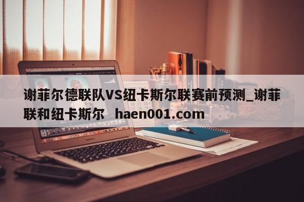 谢菲尔德联队VS纽卡斯尔联赛前预测_谢菲联和纽卡斯尔  haen001.com